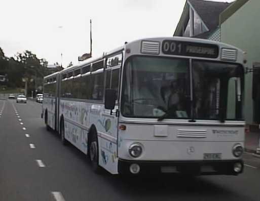 Whitsunday Transit Mercedes O305G 293ENL